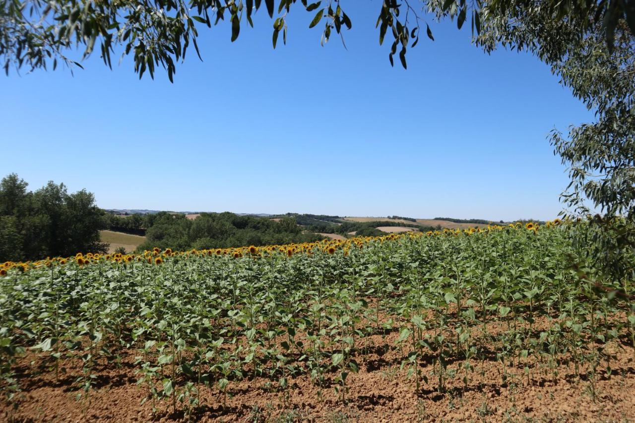 Le Clos Mirelie Gaujac  المظهر الخارجي الصورة